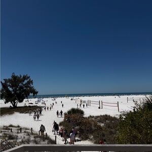 Meet your Posher, Claudia